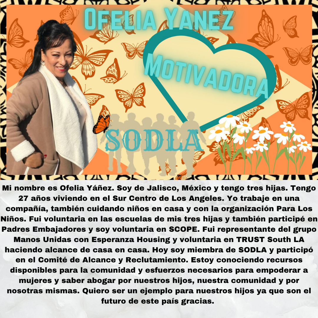 Imagen en español