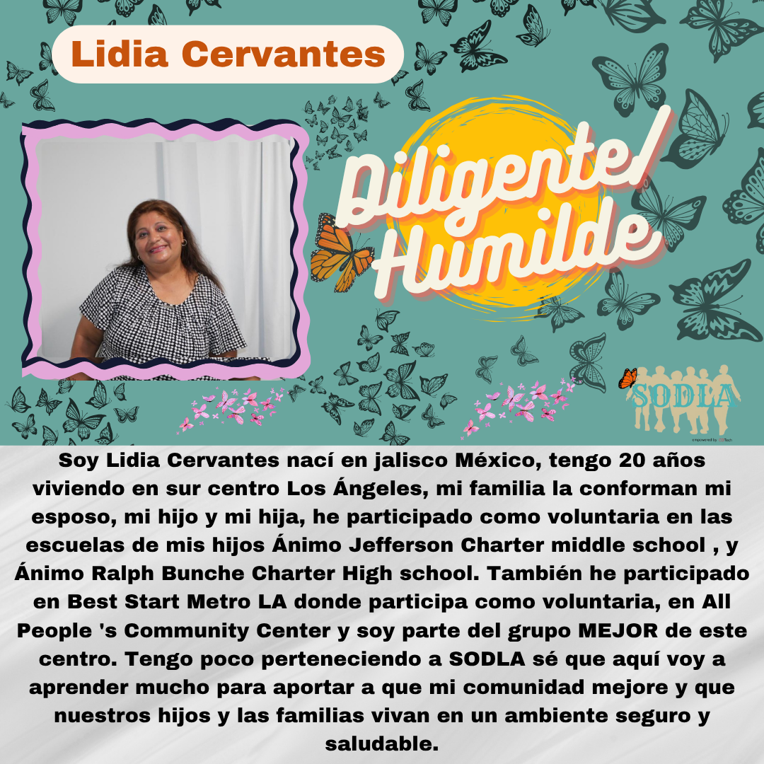 Imagen en español