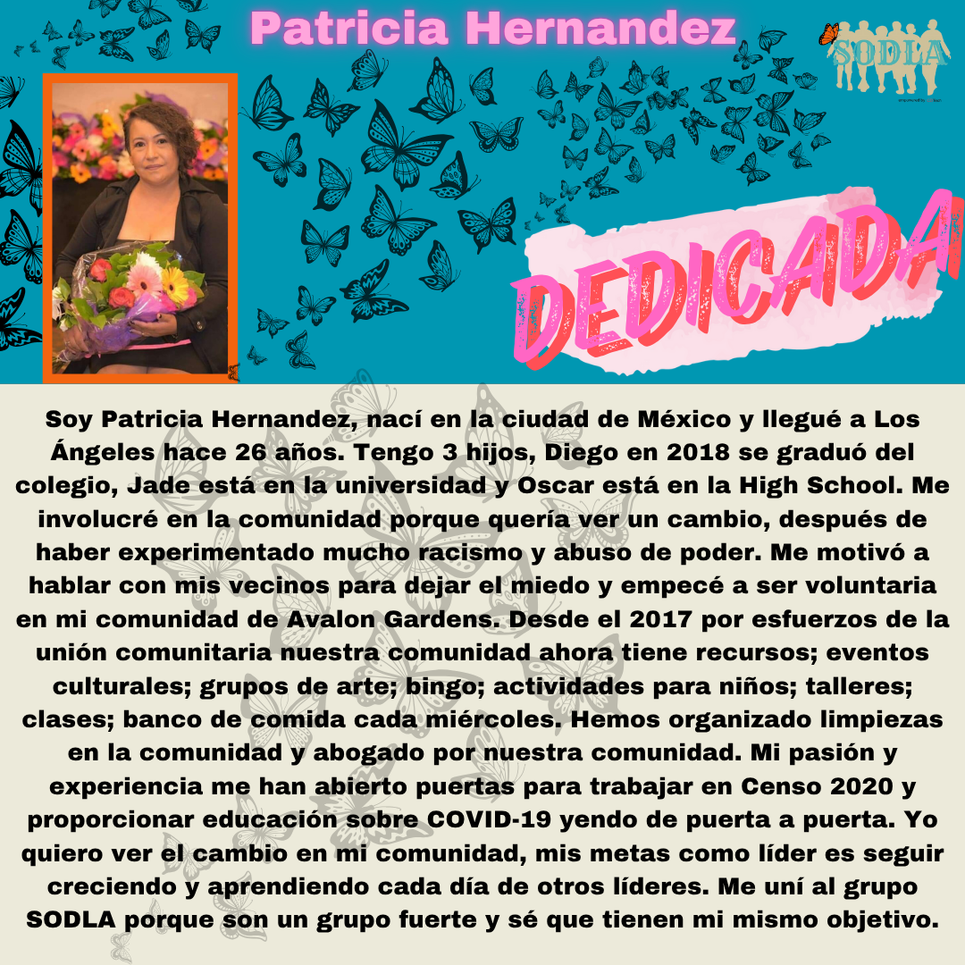 Imagen en español