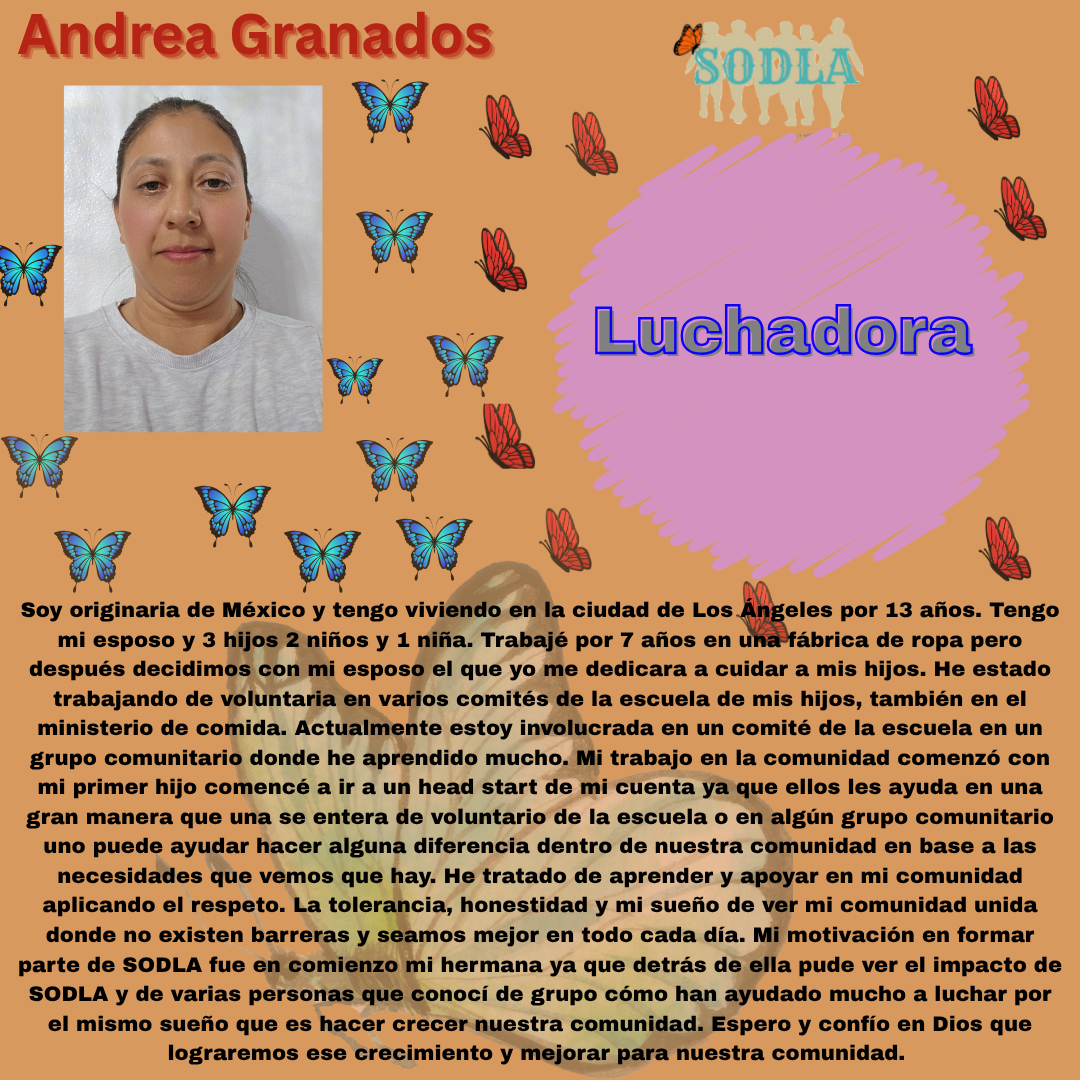 Imagen en español