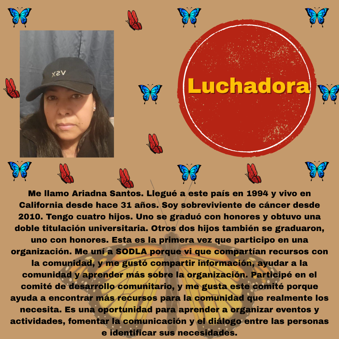 Imagen en español